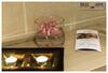 Piere - Anne Beach Hotel