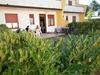 Apartments In Bibione 24604