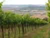Agroturismo Piane Del Bagno