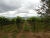 Agroturismo Piane Del Bagno