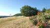 Agroturismo Il Gonzeto