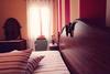 Apartamento Casale Appartamento Di Vacanza