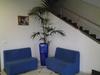 Hostal Affittacamere Floramare