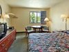 Hotel Super 8 Motel - Panama City