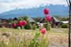 Lodge Caba�as Trevelin