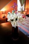 The House Hostel, Resto & Bar Bariloche