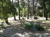 Lodge Montebello Caba�as