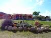 Lodge Complejo Ramadas