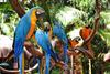 Alquiler Cataratas