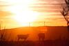Hotel Ro Che Hil Tandil