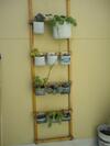 Albergue Casa Natura
