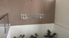Apartamento Le Jardin Caldas Novas Suites