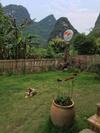 Posada Ivy Inn Yangshuo