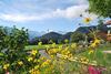 Apartamento Landhaus Aigner-vogler
