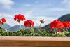 Hostal Elisabeth Serfaus