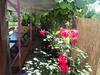 Bed & Breakfast Rooms Modana