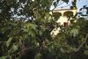 Apartments With A Parking Space Novigrad - 7120