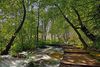 Bed & Breakfast Turist Grabovac