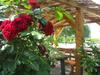 Hostal Apartments And Rooms Kristina