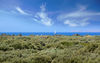 Apartamento Olive Coast Suites