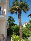 Apartments Melita