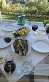 Bed & Breakfast Guest House Lucija