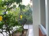 Apartment Biba