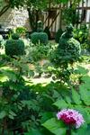 Bed & Breakfast Le Jardin De La Cath�drale