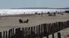 Apartamento Appartement Les Belles Plages