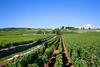Hotel Premi�re Classe Beaune
