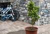 Apartamento Alpine Aria