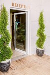 Paradice Hotel Luxury Suites