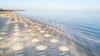 Hotel Horizon Beach Resort