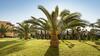 Hotel Horizon Beach Resort