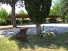 Agroturismo Agriturismo Il Poderino