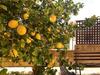 Villa Mara B&B