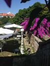 Hostal Boavista Eco-luxury House