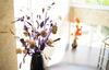 Hostal Guest House Sapfir