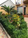 Hostal Aurora Guest House