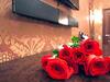 Piter Hotels