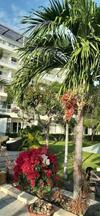 Apartamentos The Cliff Residence