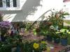 Hotel Grace Boutique Resort