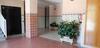 Apartamentos Bonaire 3000