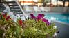 Hotel Best Western Airport Inn Boise