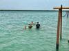 Lodge Private Cabin In Bacalar With Your Own Deck!