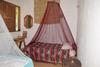 Bacalar Camping "el Arbol de La Vida"