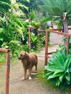Hostel & Campamento Cafeaventura