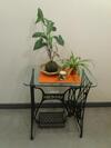 Apartamento Departamento Espa�a