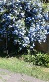 Casita C�ntrica