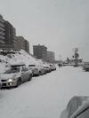 Apartamento Esqu�a En El Colorado